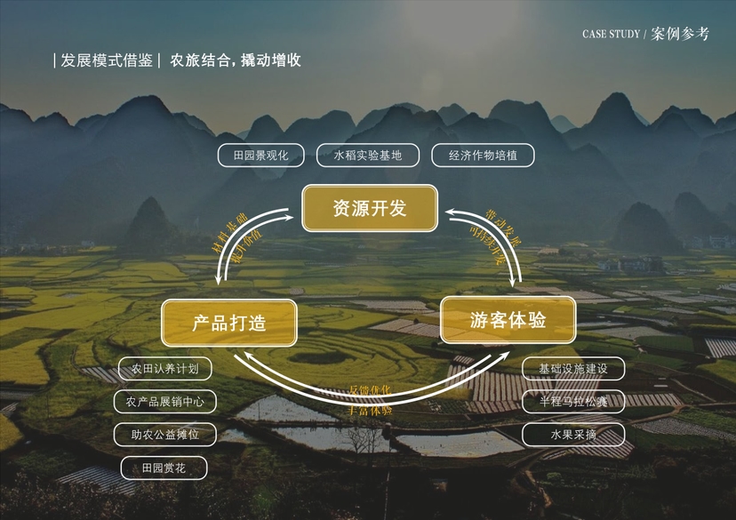 20241016灵谷峰策划文本-1(1)-007