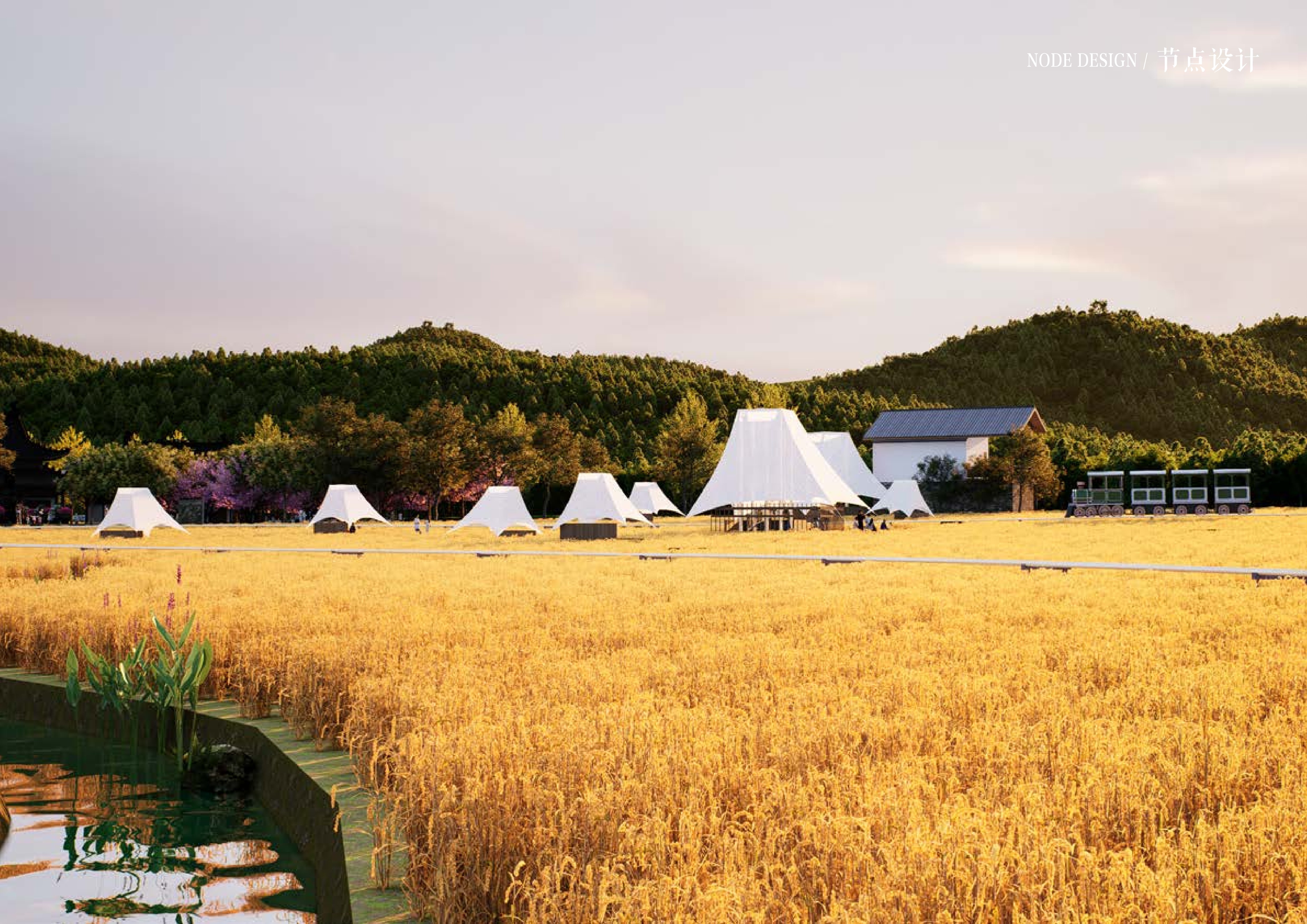 20241016灵谷峰策划文本-1(1)-081