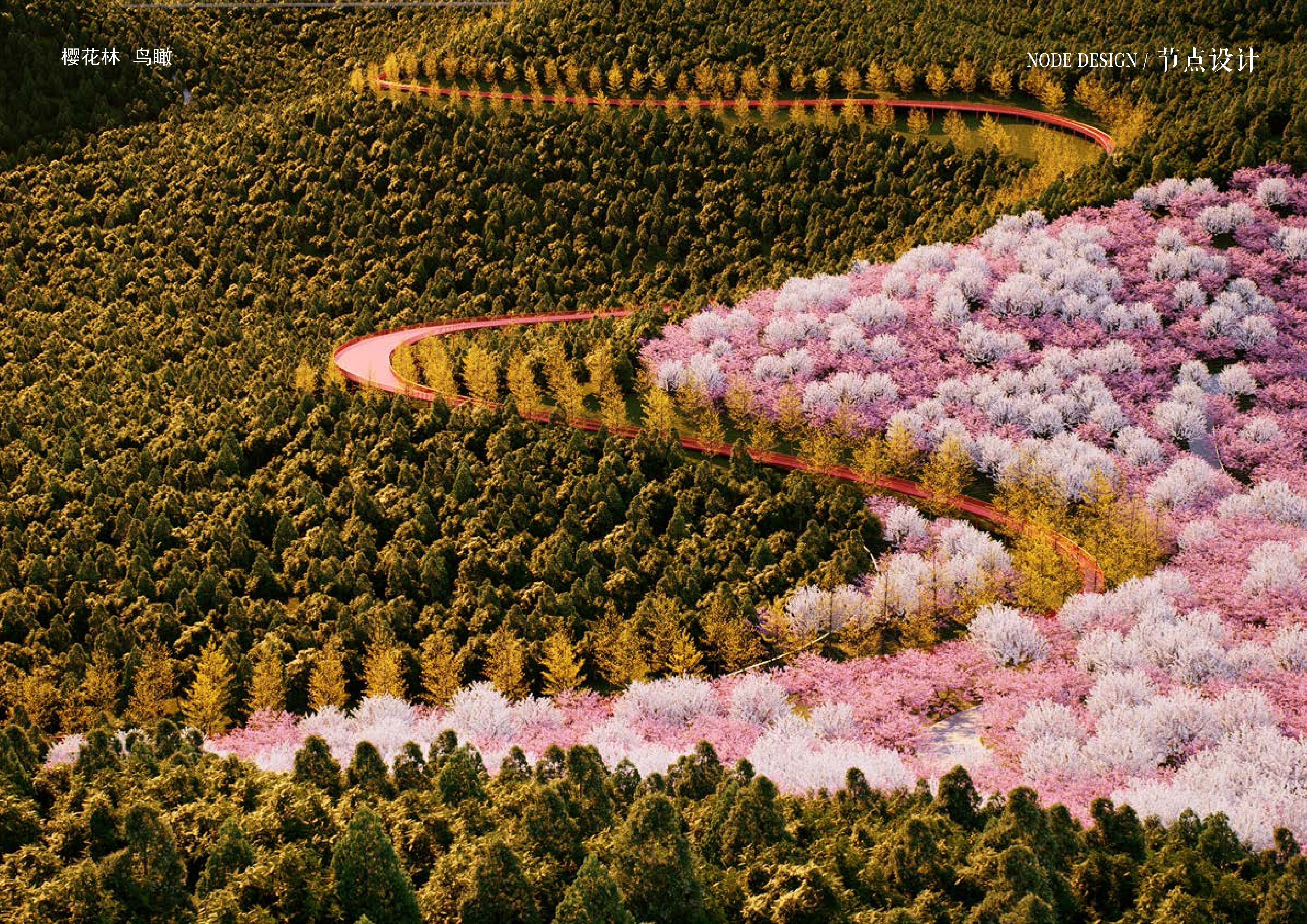 20241016灵谷峰策划文本-1(1)-088