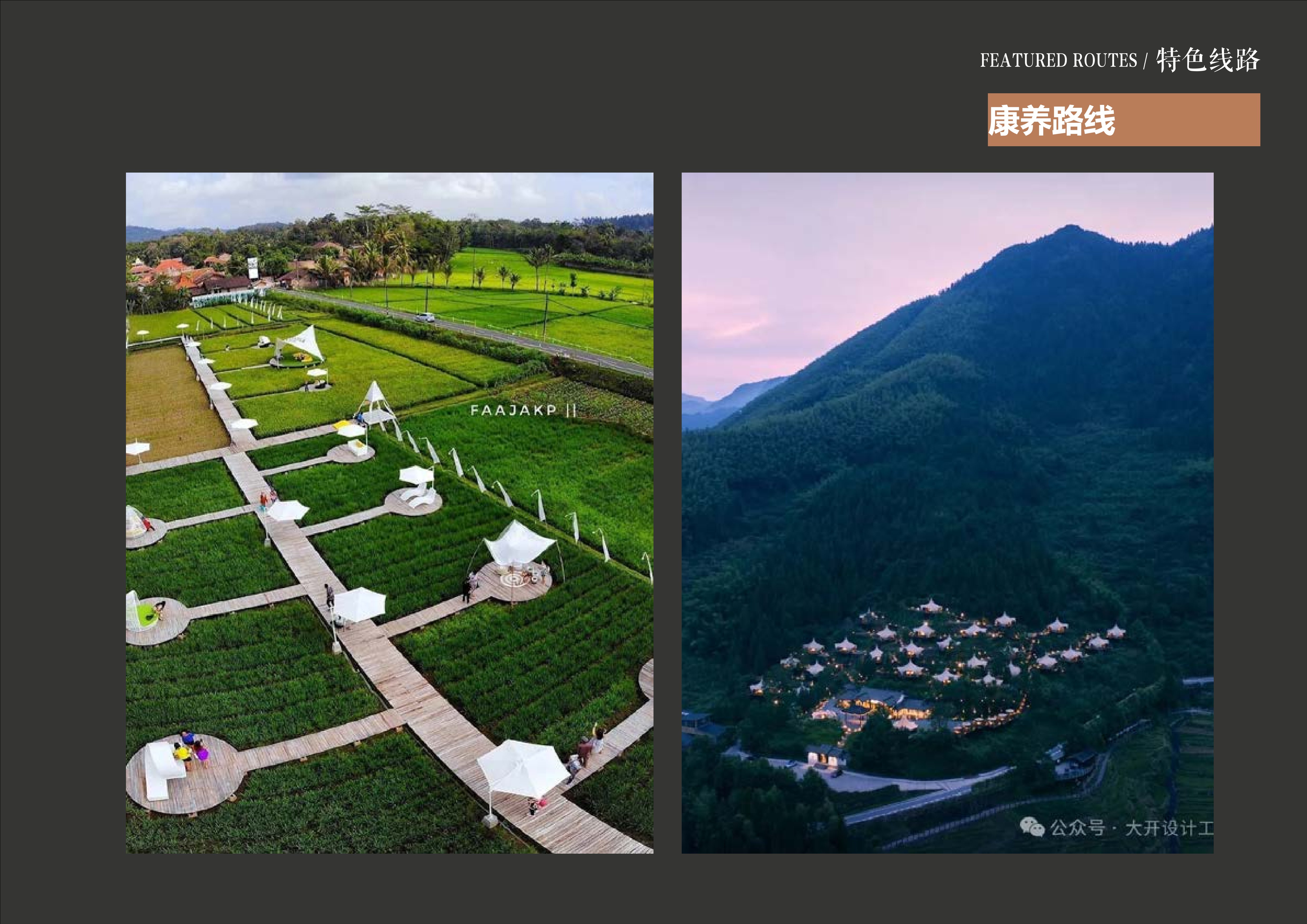 20241016灵谷峰策划文本-1(1)-134